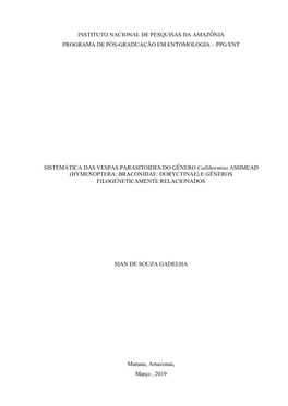 Instituto Nacional De Pesquisas Da Amazônia Programa De Pós-Graduação Em Entomologia – Ppg/Ent