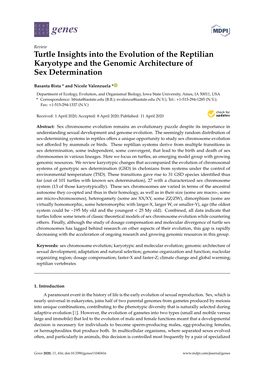 Turtle Insights Into the Evolution of the Reptilian Karyotype and the Genomic Architecture of Sex Determination