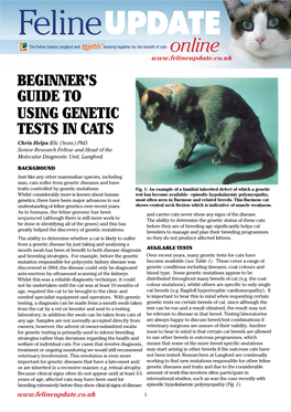 Beginner's Guide to Using Genetic Tests in Cats