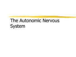 Sympathetic Nervous System