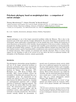 Polychaete Phylogeny Based on Morphological Data – a Comparison of Current Attempts