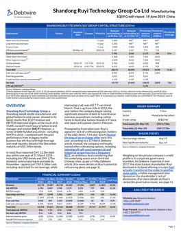 Shandong Ruyi Technology Group Co Ltd Manufacturing 1Q19 Credit Report 19 June 2019 China