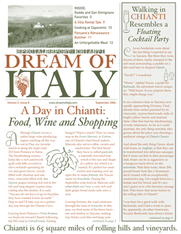 A Day in Chianti: Food, Wine and Shopping
