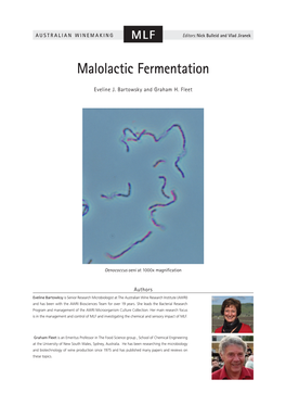 Malolactic Fermentation