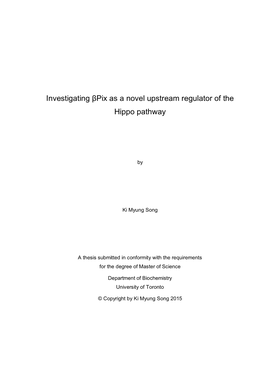 Investigating Βpix As a Novel Upstream Regulator of the Hippo Pathway