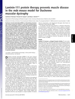 Laminin-111 Protein Therapy Prevents Muscle Disease in the Mdx Mouse Model for Duchenne Muscular Dystrophy