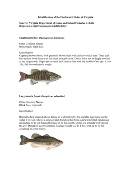 Master Naturalist Fish Identification