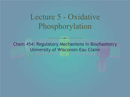 Lecture 5 - Oxidative Phosphorylation