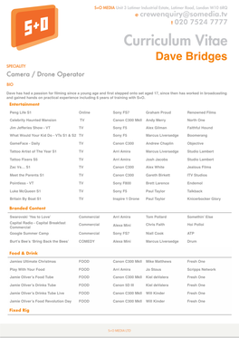 Cv Dave Bridges 2019