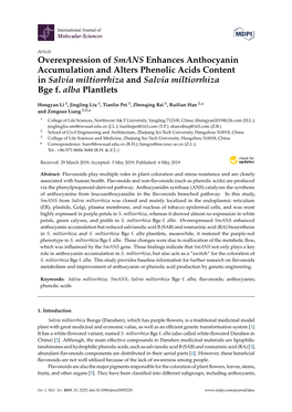 Overexpression of Smans Enhances Anthocyanin Accumulation and Alters Phenolic Acids Content in Salvia Miltiorrhiza and Salvia Miltiorrhiza Bge F