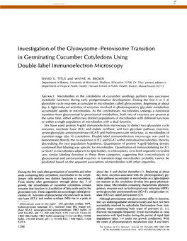 Investigation of the Glyoxysome-Peroxisome Transition in Germinating Cucumber Cotyledons Using Double-Label Immunoelectron Microscopy