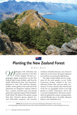 Planting the New Zealand Forest