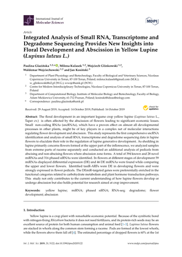 Integrated Analysis of Small RNA, Transcriptome and Degradome Sequencing Provides New Insights Into Floral Development and Absci