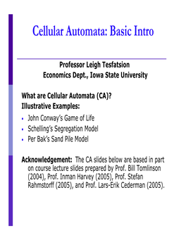 Cellular Automata: Basic Intro