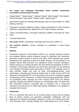 The Fungal Root Endophyte Serendipita Indica Modifies Extracellular 2 Nucleotides to Subvert Plant Immunity