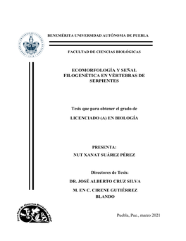 Ecomorfología Y Señal Filogenética En Vértebras De Serpientes