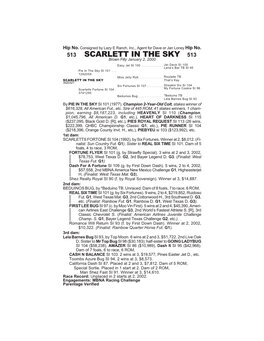 SCARLETT in the SKY 513 Brown Filly January 2, 2000 Easy Jet SI 100