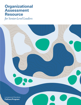 Organizational Assessment Resource for Senior-Level Leaders