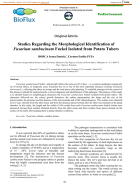 Studies Regarding the Morphological Identification of Fusarium Sambucinum Fuckel Isolated from Potato Tubers