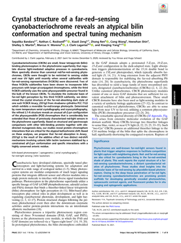 Crystal Structure of a Far-Red–Sensing Cyanobacteriochrome Reveals an Atypical Bilin Conformation and Spectral Tuning Mechanism