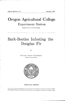 Bark-Beetles Infesting the Douglas Fir