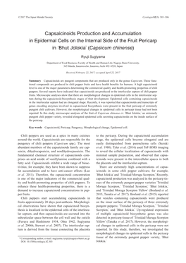 Capsaicinoids Production and Accumulation in Epidermal Cells on the Internal Side of the Fruit Pericarp in ‘Bhut Jolokia’ (Capsicum Chinense)