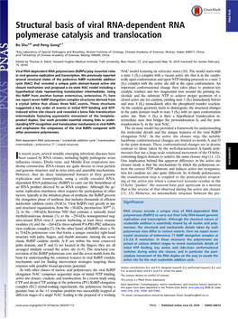 Structural Basis of Viral RNA-Dependent RNA Polymerase