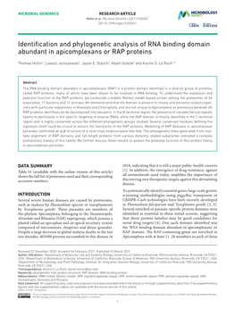 Identification and Phylogenetic Analysis of RNA Binding Domain Abundant in Apicomplexans Or RAP Proteins