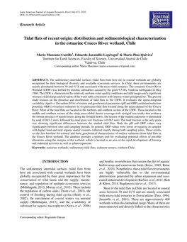 Tidal Flats of Recent Origin: Distribution and Sedimentological Characterization in the Estuarine Cruces River Wetland, Chile