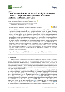 The Common Partner of Several Methyltransferases TRMT112 Regulates the Expression of N6AMT1 Isoforms in Mammalian Cells