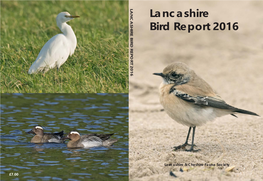 Lancashire Bird Report 2016 Lancashire Bird Report 2016