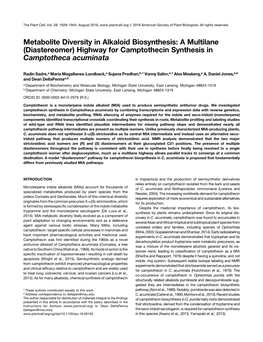 Metabolite Diversity in Alkaloid Biosynthesis: a Multilane (Diastereomer) Highway for Camptothecin Synthesis in Camptotheca Acuminata