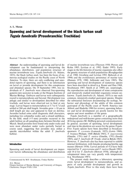 Spawning and Larval Development of the Black Turban Snail Tegula Funebralis (Prosobranchia: Trochidae)