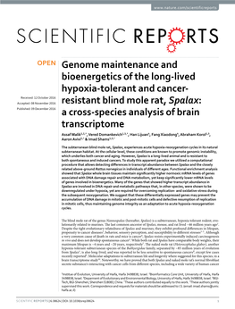 Genome Maintenance and Bioenergetics of The