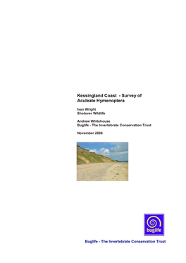 Kessingland Coast Survey of Aculeate Hymenoptera