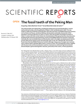 The Fossil Teeth of the Peking Man Song Xing1, María Martinón-Torres2,3 & José María Bermúdez De Castro2,3