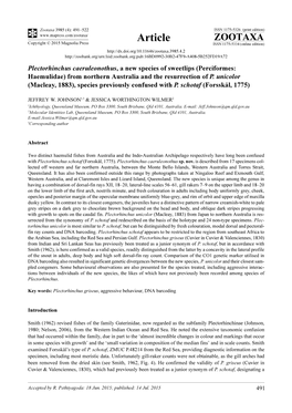 Plectorhinchus Caeruleonothus, a New Species of Sweetlips (Perciformes: Haemulidae) from Northern Australia and the Resurrection of P