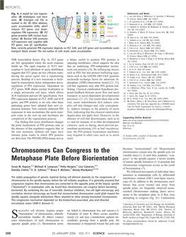 Chromosomes Can Congress to the Metaphase Plate Before Biorientation