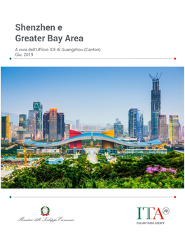 Shenzhen E Greater Bay Area