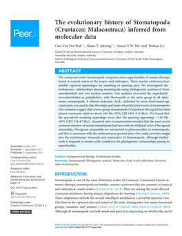 The Evolutionary History of Stomatopoda (Crustacea: Malacostraca) Inferred from Molecular Data