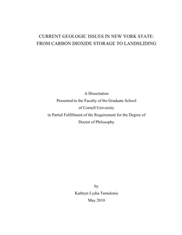 Current Geologic Issues in New York State: from Carbon Dioxide Storage to Landsliding