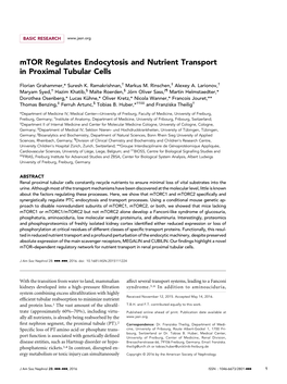 Mtor Regulates Endocytosis and Nutrient Transport in Proximal Tubular Cells