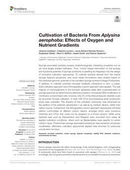 Cultivation of Bacteria from Aplysina Aerophoba: Effects of Oxygen and Nutrient Gradients