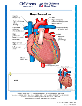 Ross Procedure