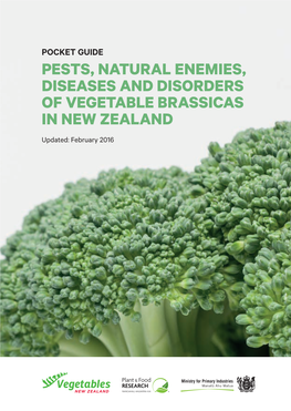 Pests, Natural Enemies, Diseases and Disorders Of