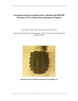 Assessment of Insect Remains from a Colonial Well (JR2158; Structure 177) at James Fort, Jamestown, Virginia