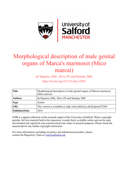 Morphological Description of Male Genital Organs of Marca's Marmoset (Mico Marcai) De Siqueira, GHL, Silva, FE and Santana, MIS