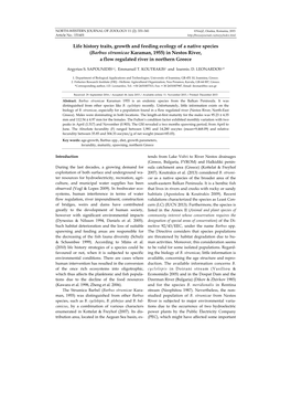 Life History Traits, Growth and Feeding Ecology of a Native Species (Barbus Strumicae Karaman, 1955) in Nestos River, a Flow Regulated River in Northern Greece