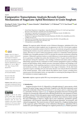 Comparative Transcriptome Analysis Reveals Genetic Mechanisms of Sugarcane Aphid Resistance in Grain Sorghum