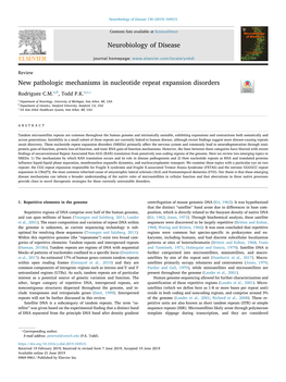 New Pathologic Mechanisms in Nucleotide Repeat Expansion